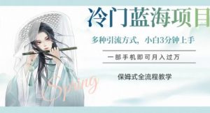 冷门蓝海项目，操作简单，小白3分钟上手，多种引流方式，保姆式全流程教学【揭秘】-最全资源库