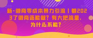 新·微商零成本暴力引流丨都2023了微商还能做？有大把流量，为什么不能？-最全资源库