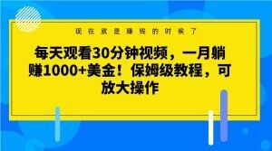 每天观看30分钟视频，一月躺赚1000+美金！保姆级教程，可放大操作【揭秘】-最全资源库