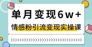 单月变现6W+，抖音情感粉引流变现实操课，小白可做，轻松上手，独家赛道【揭秘】-最全资源库