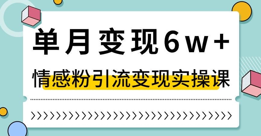 单月变现6W+，抖音情感粉引流变现实操课，小白可做，轻松上手，独家赛道【揭秘】-最全资源库