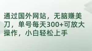 通过国外网站，无脑赚美刀，单号每天300+可放大操作，小白轻松上手【揭秘】-最全资源库