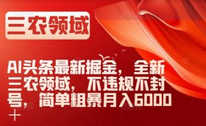 AI头条最新掘金，全新三农领域，不违规不封号，简单粗暴月入6000＋【揭秘】-最全资源库