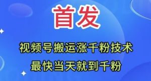 全网首发：视频号无脑搬运涨千粉技术，最快当天到千粉【揭秘】-最全资源库