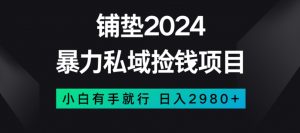 暴力私域捡钱项目，小白无脑操作，日入2980【揭秘】-最全资源库