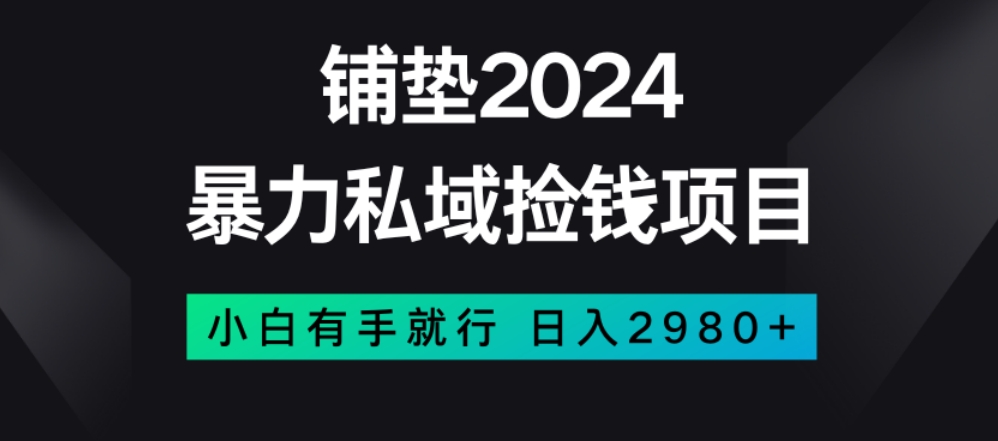 暴力私域捡钱项目，小白无脑操作，日入2980【揭秘】-最全资源库