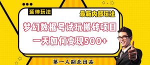 数据号回归玩法游戏试玩搬砖项目再创日入500+【揭秘】-最全资源库