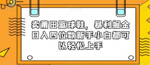 卖莆田篮球鞋,暴利掘金日入四位数新手小白都可以轻松上手【揭秘】-最全资源库