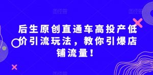 后生原创直通车高投产低价引流玩法,教你引爆店铺流量!-最全资源库