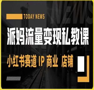 派妈流量变现私教课,小红书赛道IP 商业 店铺 -最全资源库