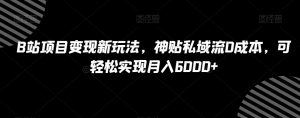 B站项目变现新玩法,神贴私域流0成本,可轻松实现月入6000+【揭秘】-最全资源库