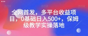 全网首发，多平台收益项目，0基础日入500+，保姆级教学实操落地【揭秘】-最全资源库