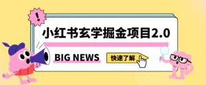 小红书玄学掘金项目，值得常驻的蓝海项目，日入3000+附带引流方法以及渠道【揭秘】-最全资源库