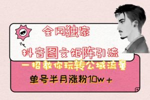 全网独家抖音图文矩阵引流，一招教你玩转公域流量，单号半月涨粉10w+【揭秘】-最全资源库