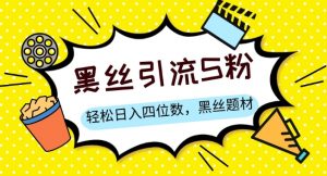 S粉变现，轻松日入四位数，黑丝题材+情感话术【揭秘】-最全资源库