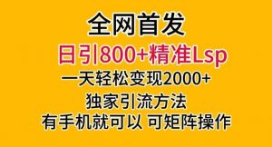 全网首发！日引800+精准老色批，一天变现2000+，独家引流方法，可矩阵操作【揭秘】-最全资源库