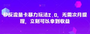 秒反流量卡暴力玩法2.0，无需次月提现，立刻可以拿到收益【揭秘】-最全资源库