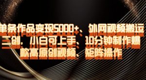 单条作品变现5000+、外网视频搬运二创，小白可上手，10分钟制作爆款高原创视频，矩阵操作【揭秘】-最全资源库