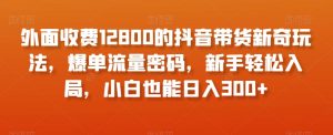 外面收费12800的抖音带货新奇玩法，爆单流量密码，新手轻松入局，小白也能日入300+【揭秘】-最全资源库