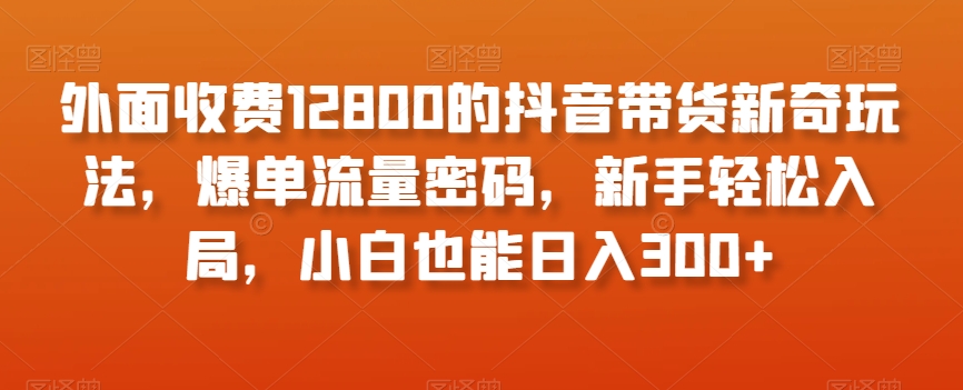 外面收费12800的抖音带货新奇玩法，爆单流量密码，新手轻松入局，小白也能日入300+【揭秘】-最全资源库