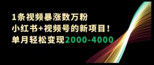 1条视频暴涨数万粉–小红书+视频号的新项目！单月轻松变现2000-4000【揭秘】-最全资源库