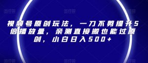 视频号原创玩法，一刀不剪提升5倍播放量，亲测直接搬也能过原创，小白日入500+【揭秘】-最全资源库