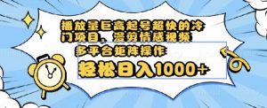 播放量巨高起号超快的冷门项目，漫剪情感视频，可多平台矩阵操作，轻松日入1000+【揭秘】-最全资源库