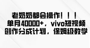 老奶奶都会操作，新平台无脑操作，单月40000+，vivo短视频创作分成计划【揭秘】-最全资源库