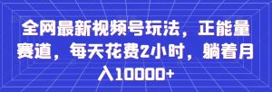 全网最新视频号玩法，正能量赛道，每天花费2小时，躺着月入10000+【揭秘】-最全资源库
