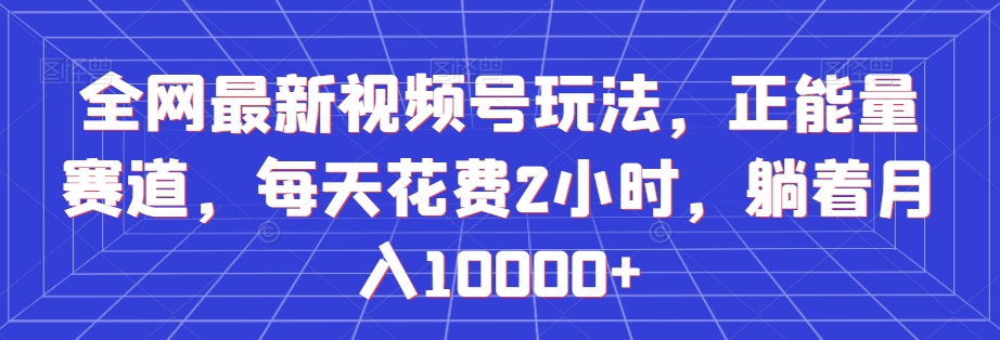 全网最新视频号玩法，正能量赛道，每天花费2小时，躺着月入10000+【揭秘】-最全资源库