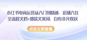 小红书电商运营从入门到精通，店铺入住全流程文档+爆款文案词，自有非凡收获-最全资源库