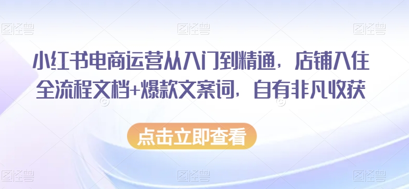 小红书电商运营从入门到精通,店铺入住全流程文档+爆款文案词,自有非凡收获-最全资源库