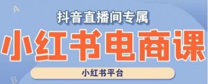 小红书电商高级运营课程，实操教学+案例分析-最全资源库