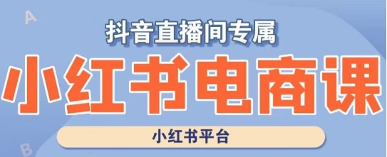 小红书电商高级运营课程，实操教学+案例分析-最全资源库