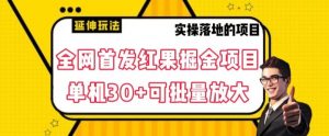 全网首发红果免费短剧掘金项目，单机30+可批量放大【揭秘】-最全资源库