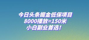 今日头条掘金低保项目，8000播放=150米，小白副业首选【揭秘】-最全资源库