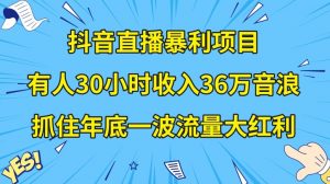 抖音直播暴利项目，有人30小时收入36万音浪，公司宣传片年会视频制作，抓住年底一波流量大红利【揭秘】-最全资源库