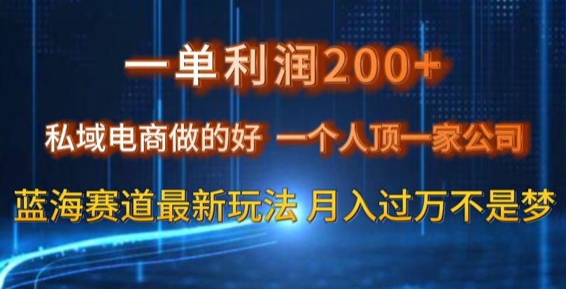 一单利润200私域电商做的好，一个人顶一家公司蓝海赛道最新玩法【揭秘】-最全资源库