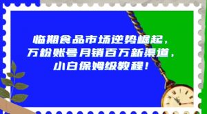 临期食品市场逆势崛起,万粉账号月销百万新渠道,小白保姆级教程【揭秘】-最全资源库