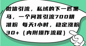 怎么搞精准创业粉?微信新赛道,每天一小时,利用Ai一个问答日引100精准粉-最全资源库