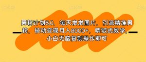 男粉计划6.0，每天发发图片，引流精准男粉，被动变现月入8000+，喂饭式教学，小白无脑复制操作即可-最全资源库