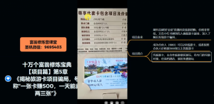 十万个富翁修炼宝典之5.揭秘旅游卡项目骗局，号称“一张卡赚500，一天能卖两三张”-最全资源库