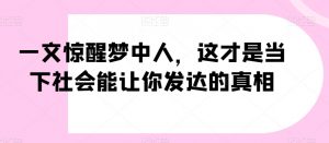 一文惊醒梦中人，这才是当下社会能让你发达的真相【公众号付费文章】-最全资源库