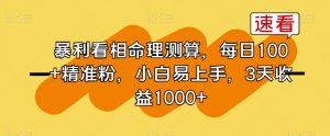 暴利看相命理测算，每日100+精准粉，小白易上手，3天收益1000+【揭秘】-最全资源库