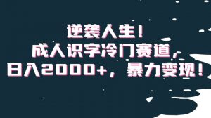 逆袭人生！成人识字冷门赛道，日入2000+，暴力变现！【揭秘】-最全资源库