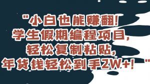 小白也能赚翻！学生假期编程项目，轻松复制粘贴，年货钱轻松到手2W+【揭秘】-最全资源库