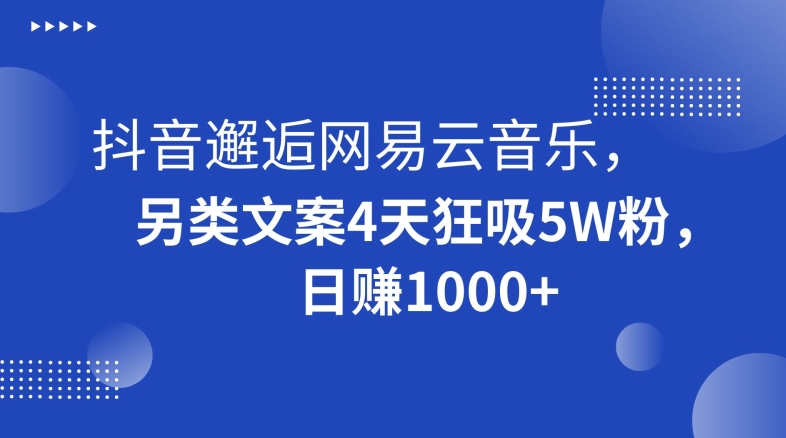 抖音邂逅网易云音乐，另类文案4天狂吸5W粉，日赚1000+【揭秘】-最全资源库