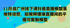 11月底广州线下课抖音直播模型落地特训营,短视频锤爆直播间的平播可复制模型-最全资源库
