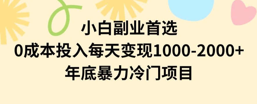 小白副业首选，0成本投入，每天变现1000-2000年底暴力冷门项目【揭秘】-最全资源库