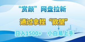 “赏颜”网盘拉新赛道，通过拿捏“欲望”日入1500+，小白易上手【揭秘】-最全资源库
